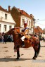 Juni Feast (Sarbatoarea Junilor), Brasov