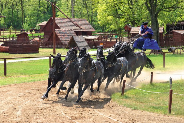 Godollo - Lazar Bros. Equestrian Park